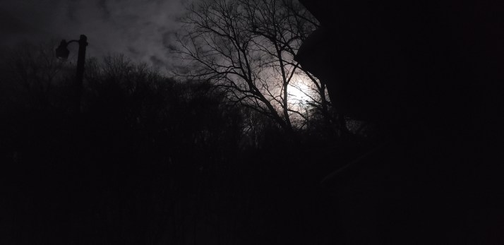 2019-01-20 04.31.25.jpg