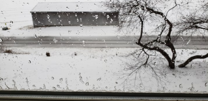 2019-02-11 14.38.45.jpg