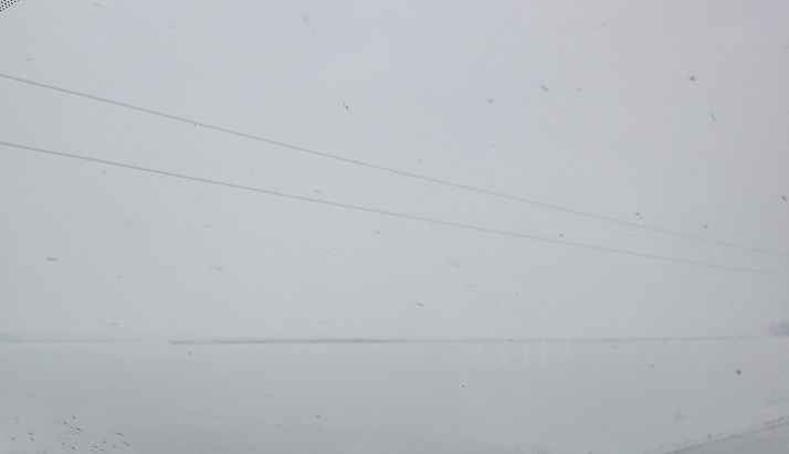 2019-02-17 13.31.12-1